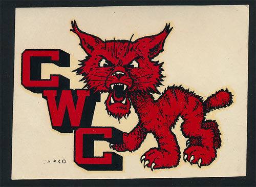 Welcome back, Wildcats! And register now for the Have a Ball Fall Crawl! Yarn Folk