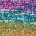 Encore Colorspun Plymouth Yarn