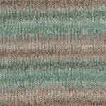 Encore Colorspun Plymouth Yarn