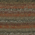 Encore Colorspun Plymouth Yarn