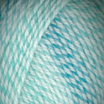 Encore Colorspun Plymouth Yarn