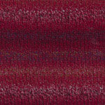 Encore Colorspun Plymouth Yarn