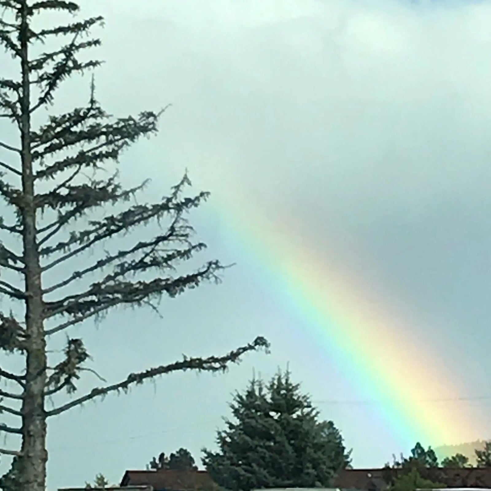 CURBSIDE PICKUP, TEMPORARY HOURS Yarn Folk