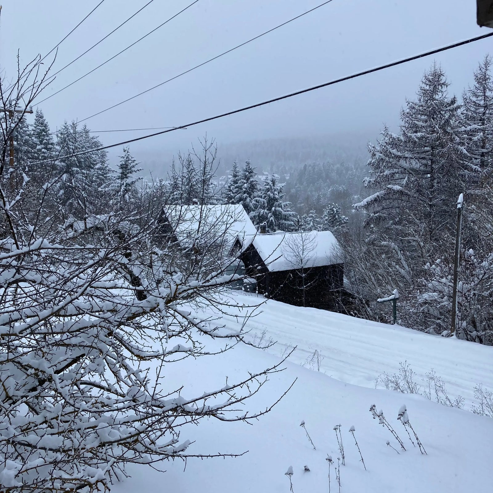 Calling an audible Yarn Folk