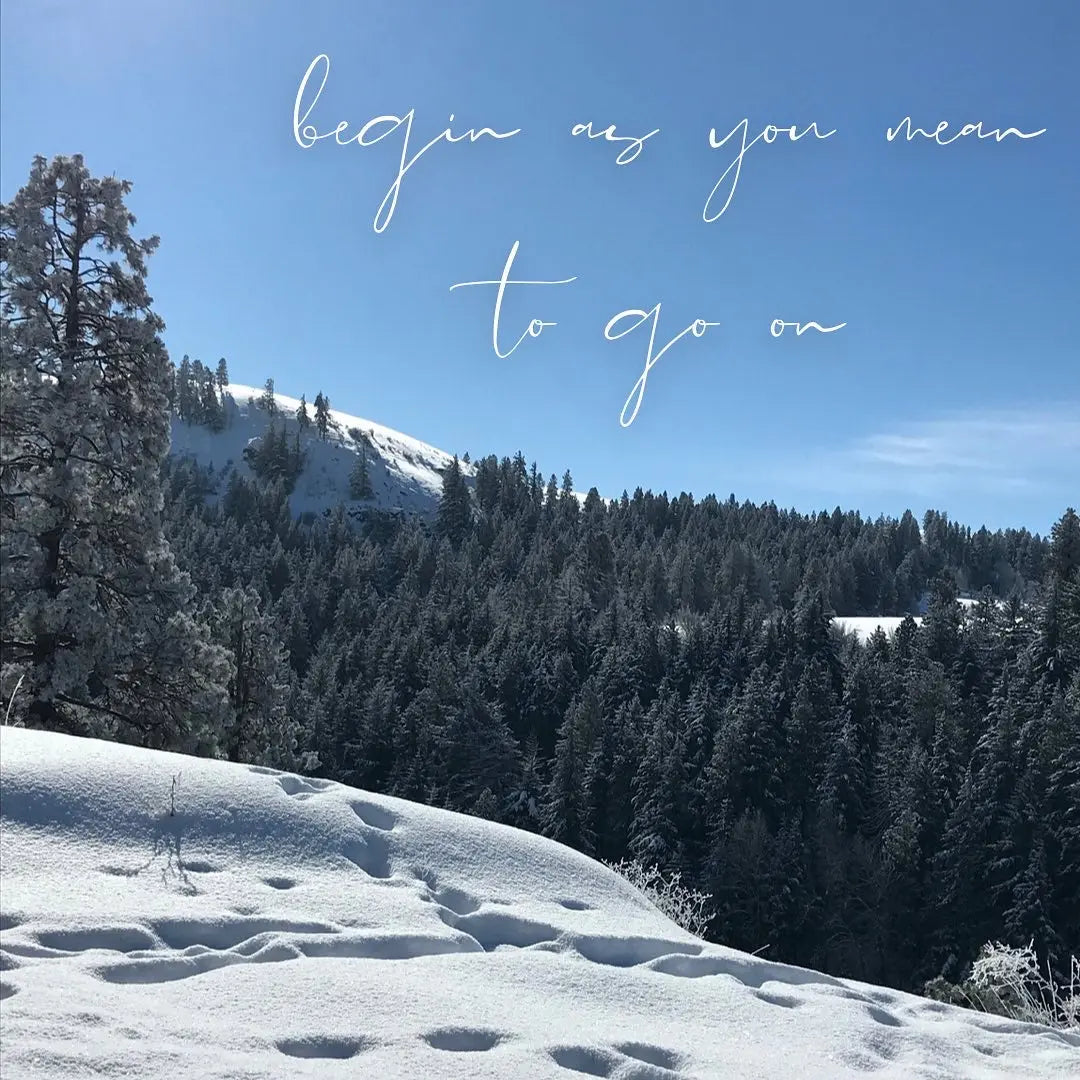 Gingerly stitching into a new year Yarn Folk