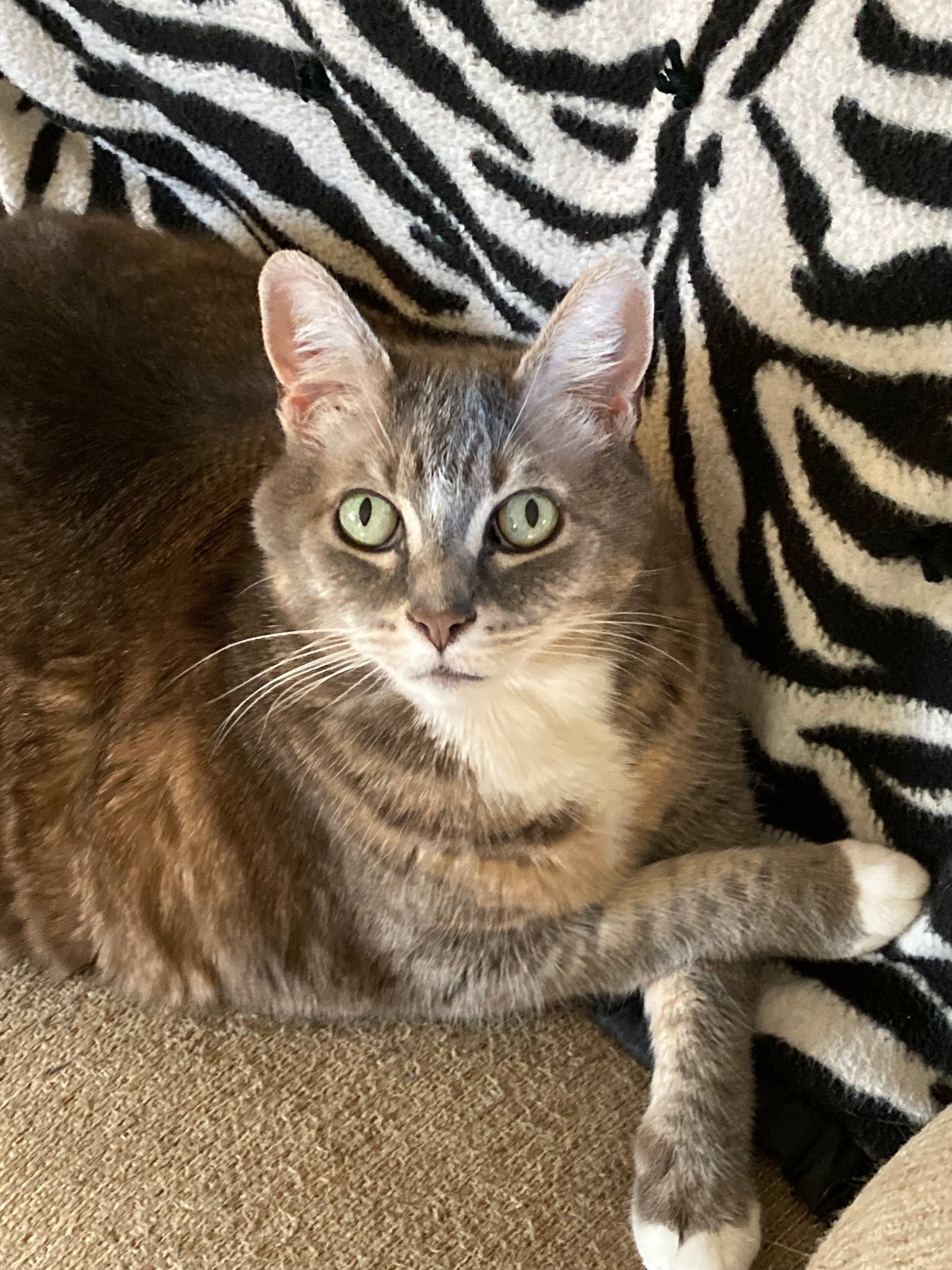 Semi-Annual Clearance Sale: everything now 50-75% off!