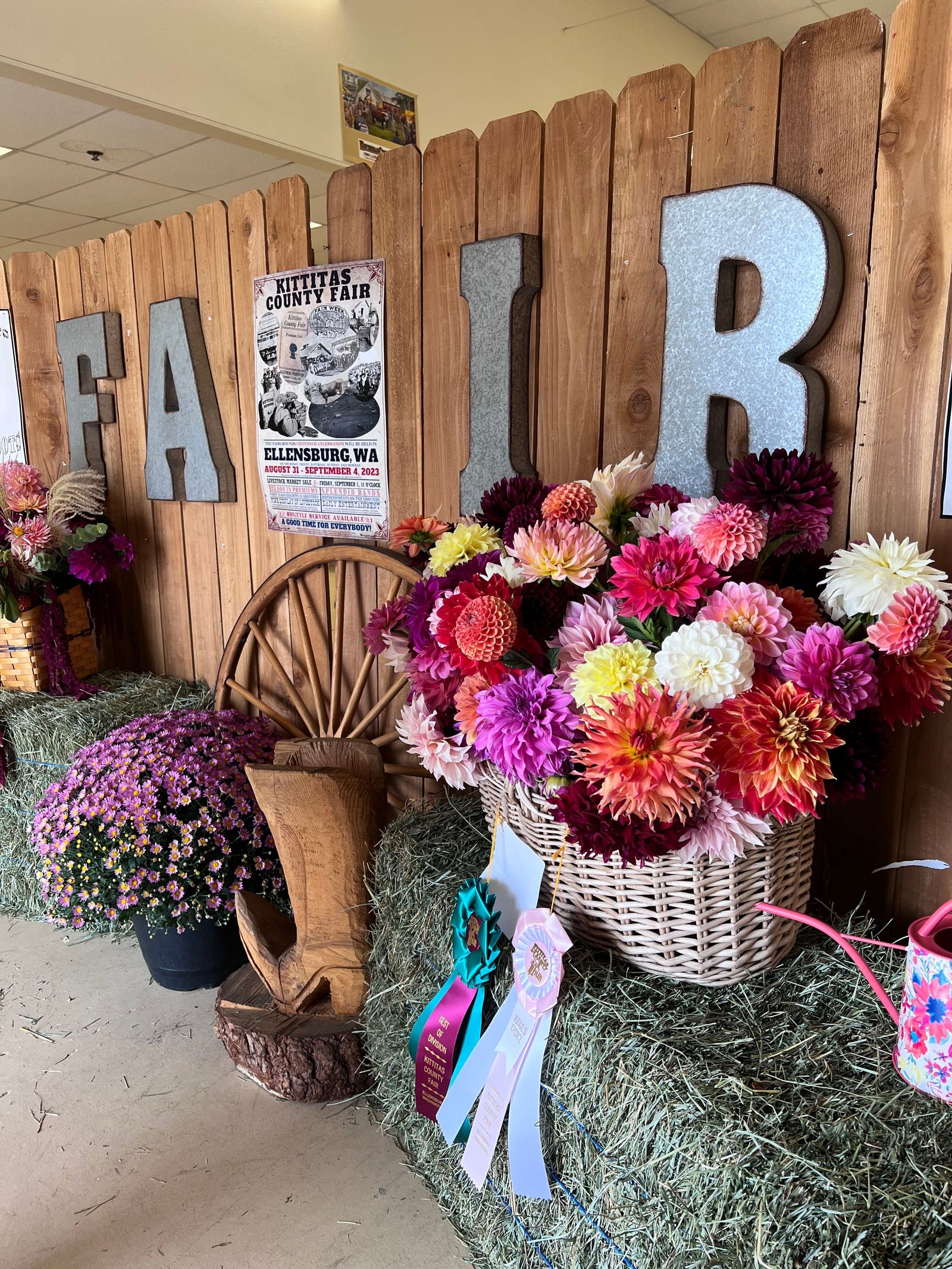 Fair Round-up & Sonatine Cowl Kits Yarn Folk