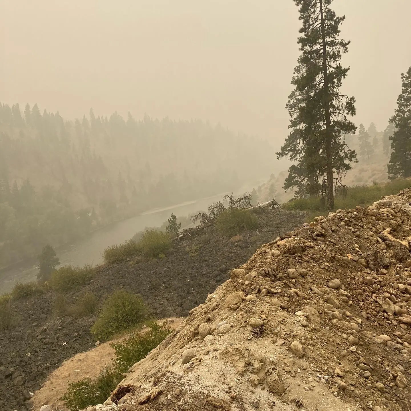 Indoor Activities Yarn Folk