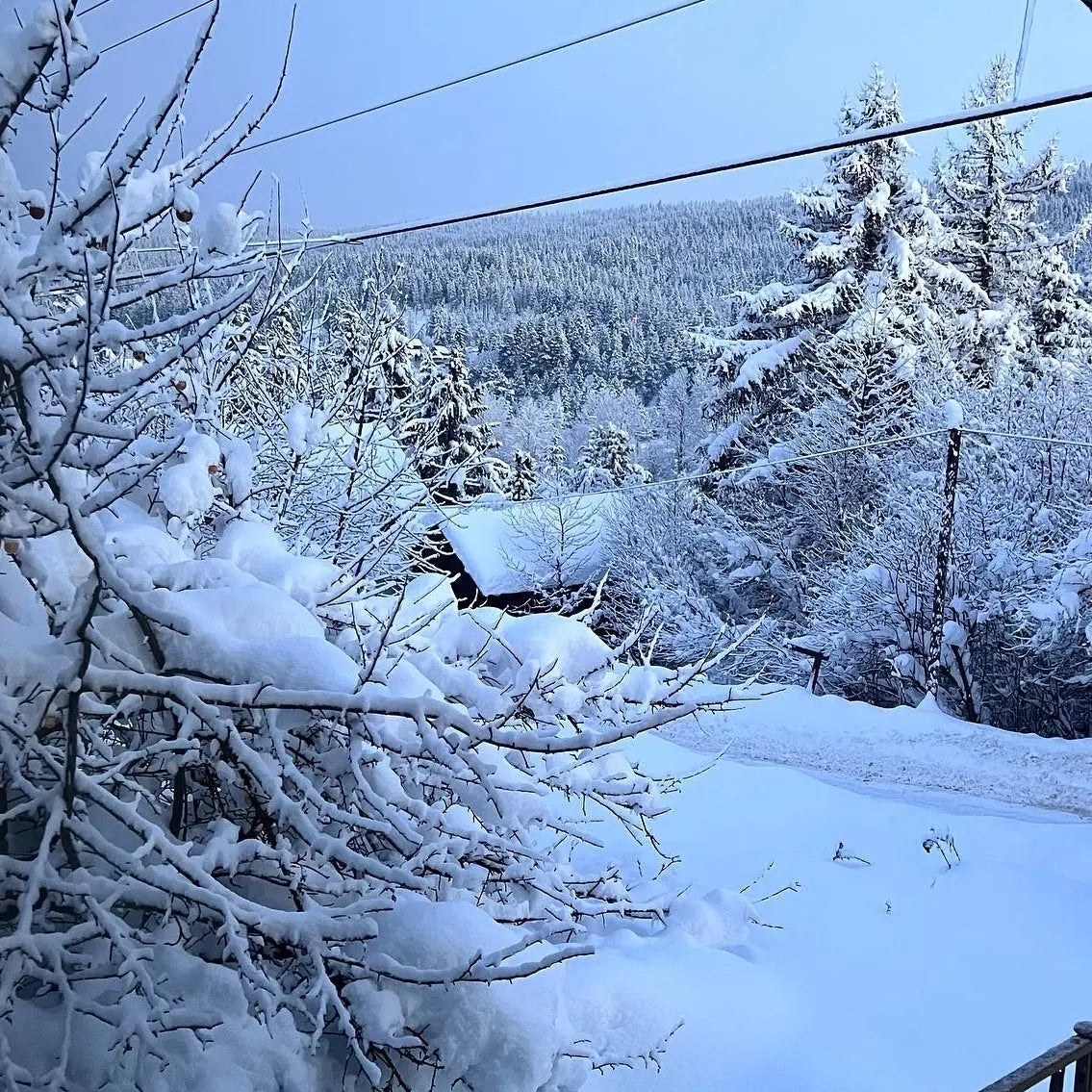 The weather outside is frightful...but wool is so delightful. Yarn Folk
