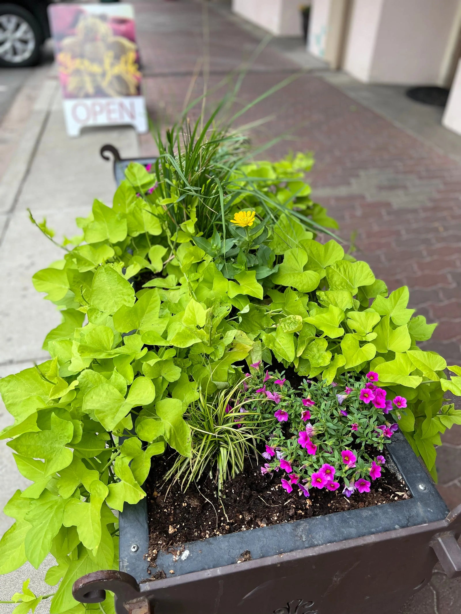 Three Words: Malabrigo. Ultimate. Sock. Yarn Folk