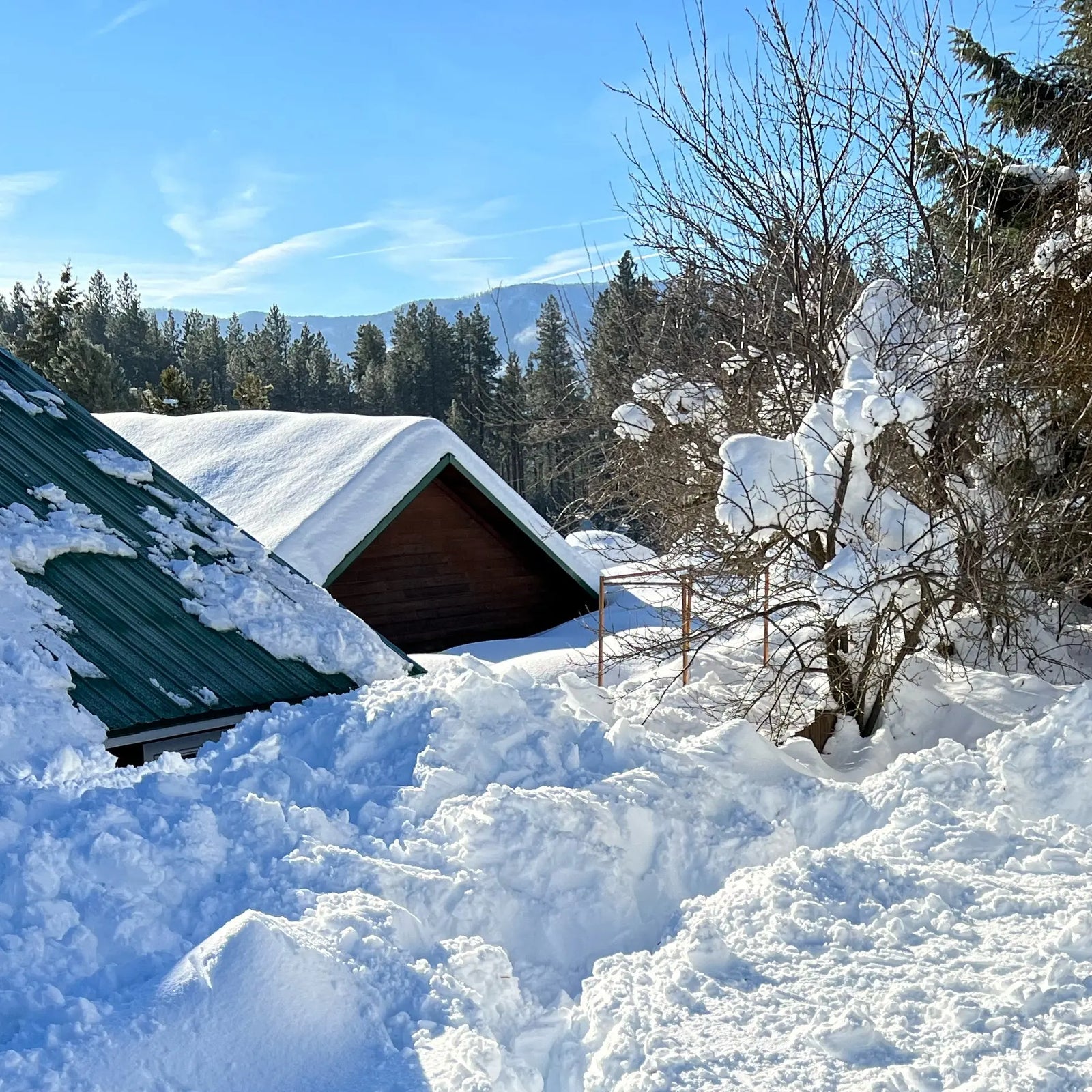 Winter Wonderland? Yarn Folk