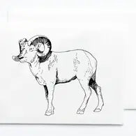 Big Horn Sheep Card