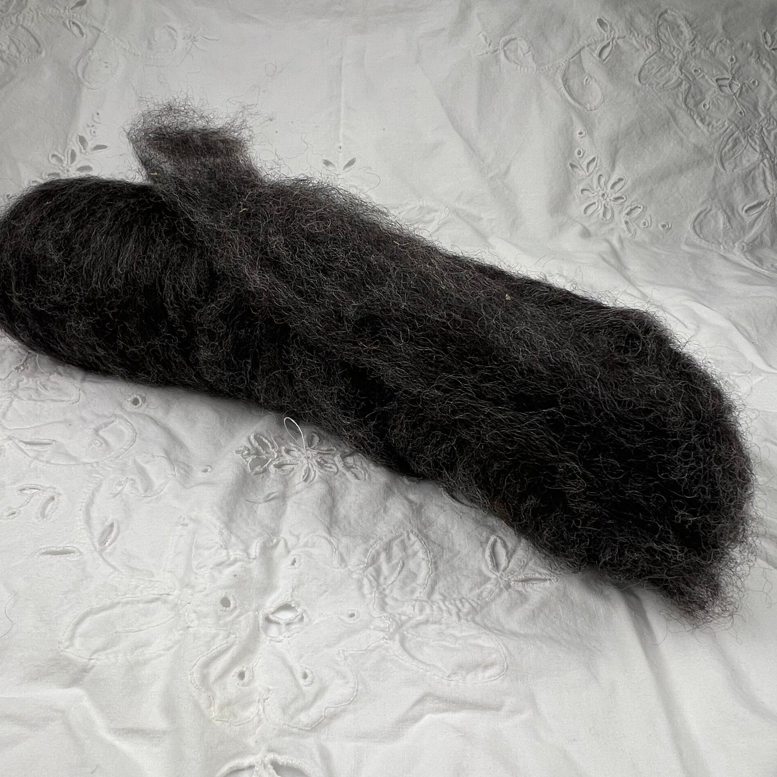 Rocky Roo-Bee Roving