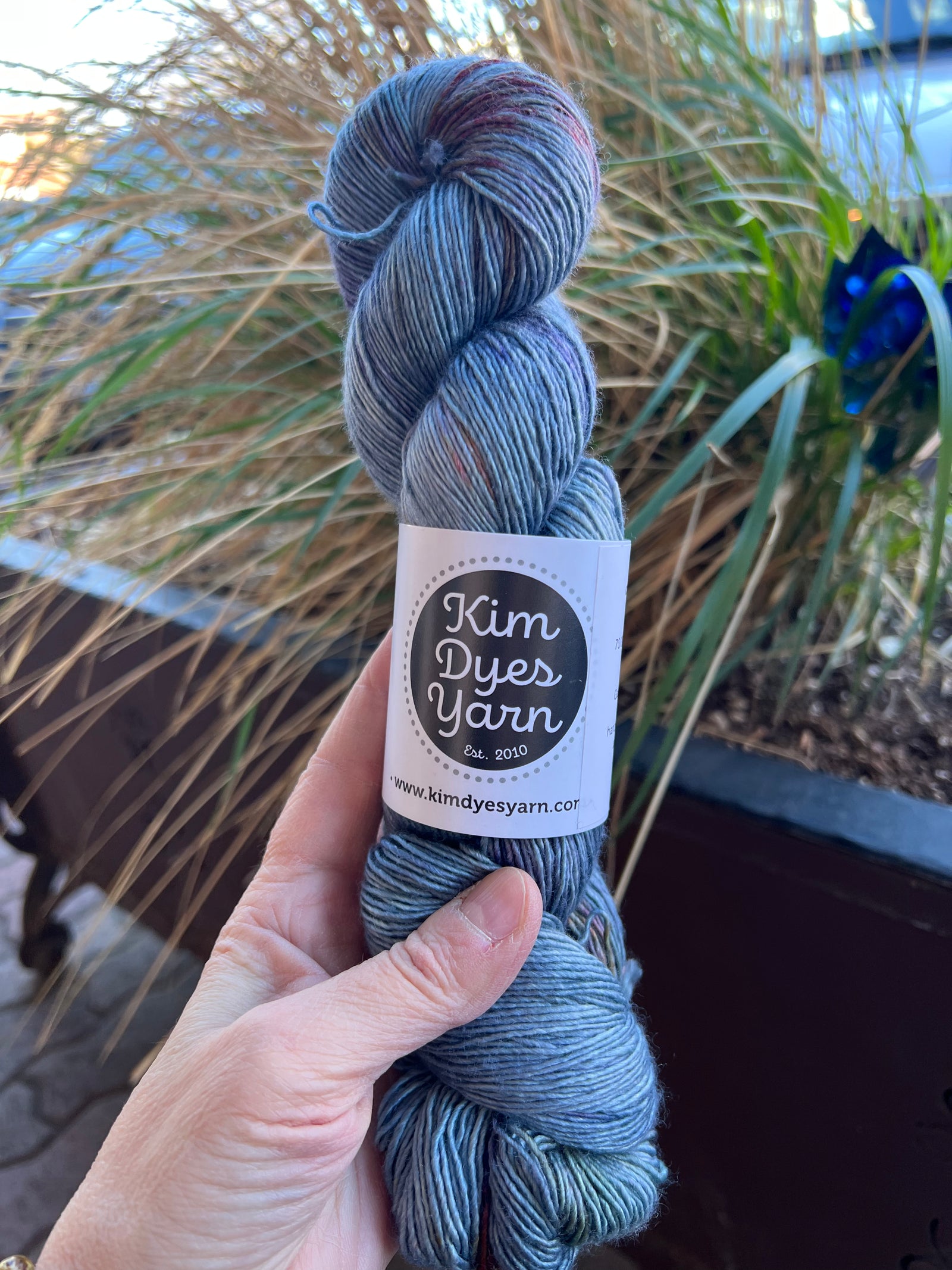 Yarn Folk 12th Anniversary Custom Color: Ellensburg Blue FINGERING