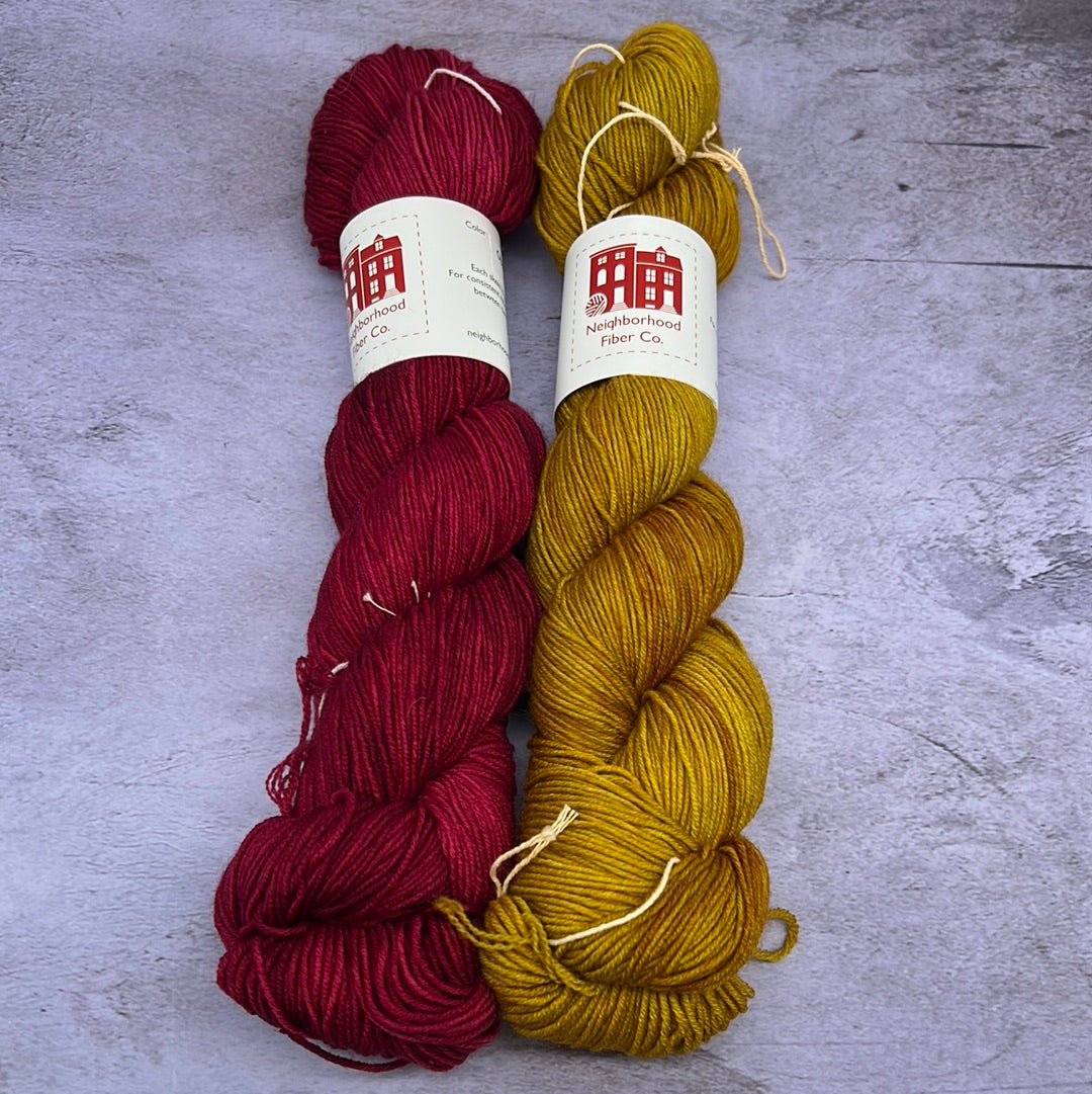 Casapinka Ric Rac Shawl Kit Neighborhood Fiber Co Studio Sock Yarn